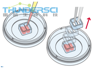 QQå?¾ç??20190318144738 1æ ·æ?¬å?¶å¤?.png